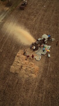 tractor chaff cutting in farm