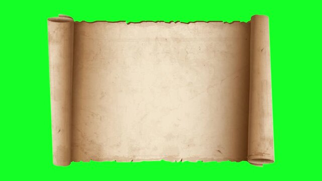 paper towel roll on green background