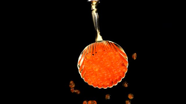 Red Caviar in a spoon rotating on black background. Close-up of salmon fish roe caviar. Delicatessen. Texture of trout caviar. Rotating backdrop. Seafood. Top view. 