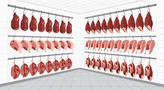 Rows of large raw meat portions hang from metal hooks on horizontal bars within a white tiled cold storage room facility with a clean grey floor.