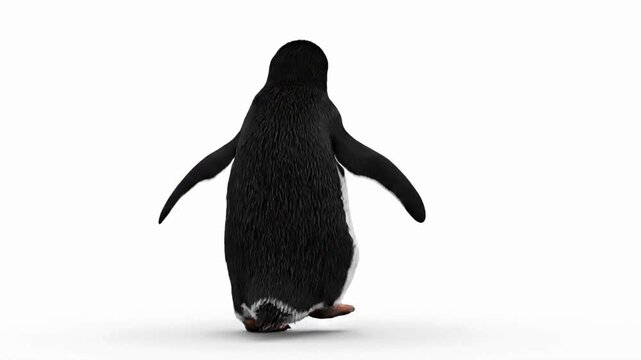 Penguin performs a dance with CG fur rendering at a studio setting in a bright environment during daytime