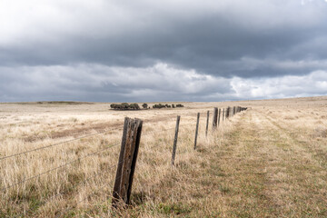 Obraz premium trees in a fenced field on a very cloudy stormy day