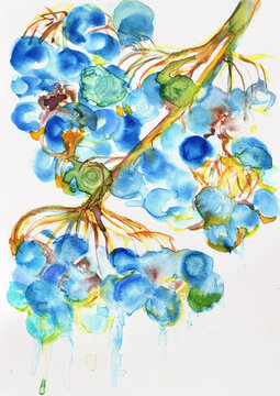 Blue Botanical Watercolor Branch with Organic Abstract Leaves and Pigment Blooms, expressive natural composition, hand painted watercolor