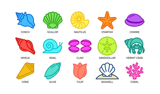 Sea shells and marine creatures icons on white background