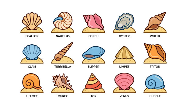 Sea shell icons showing different shell types on sandy bases