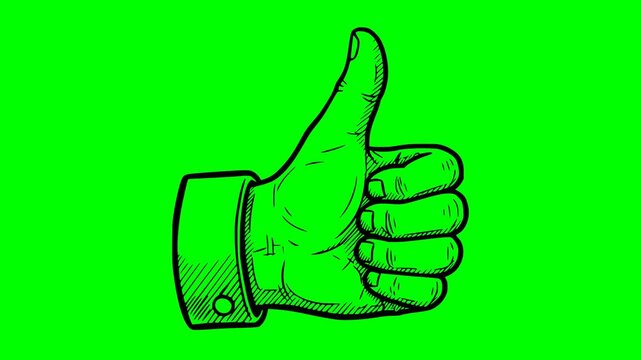 Professional hand drawn hand with thumb up gesture in black fill style. Features a dynamic bottom bounce animation on a green screen chroma key background for easy video editing