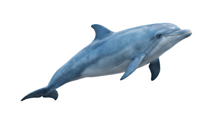 Fototapeta premium Graceful blue bottlenose dolphin swimming in a side profile, captured as a clean 3d render isolated on a white background for a serene mood.
