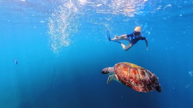woman wearing snorkel fins mask swims with a sea turtle in the protected Turtle Sanctuary in Port Barton. Summer beach vacation in Palawan, Philippines. Popular excursion: Tour A Island Hopping.