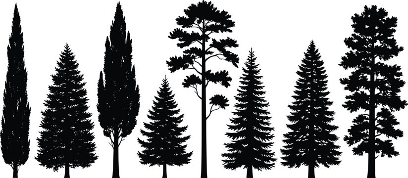 Eight coniferous tree silhouettes including pine, fir, spruce, and cypress shapes for forest, nature, and design concepts