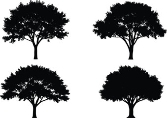 Fototapeta premium Four tree silhouettes with varied canopy shapes and branch structures for nature, landscape, ecology, and design concepts