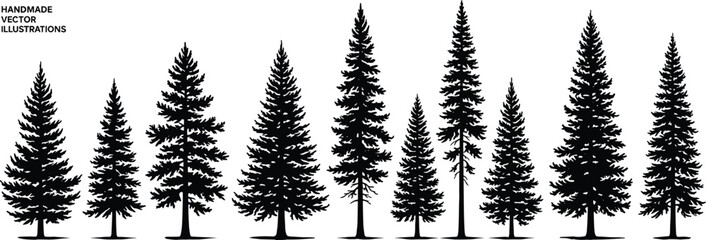 Fototapeta premium Hand drawn pine tree silhouettes set, detailed evergreen forest elements isolated on white background for nature, landscape and vintage vector design use