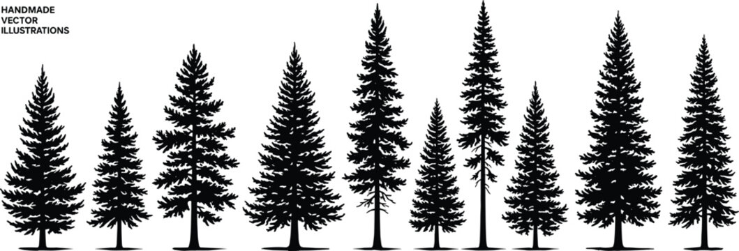Hand drawn pine tree silhouettes set, detailed evergreen forest elements isolated on white background for nature, landscape and vintage vector design use