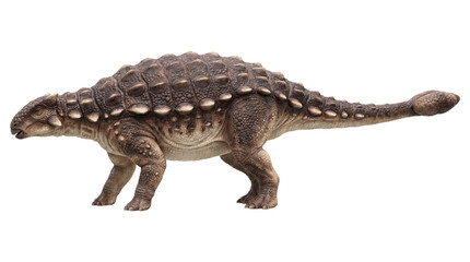 Fototapeta premium Ankylosaurus dinosaur walking side profile, detailed texture