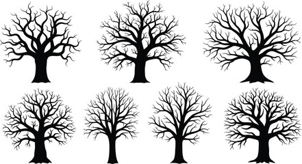 Obraz premium Collection of leafless tree silhouettes with bare tree with winter tree with tree silhouette