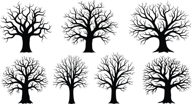 Collection of leafless tree silhouettes with bare tree with winter tree with tree silhouette