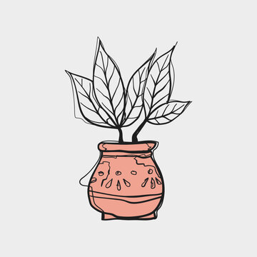 Hand Drawn Doodle Large Leaves Plant in Pink Terracotta Clay Pot Sketch Vector