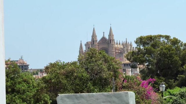 Palma Cathedral Mallorca Spain - Historic La Seu Gothic Architecture