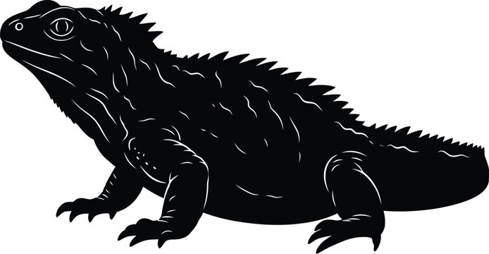 Black silhouette of an iguana with black and white silhouette wildlife illustration isolated creature animalistic profile view herpetology distinctive background minimalist representation