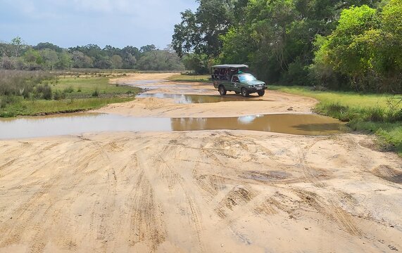 4X4, Parc national de Wilpattu, Sri Lanka. 