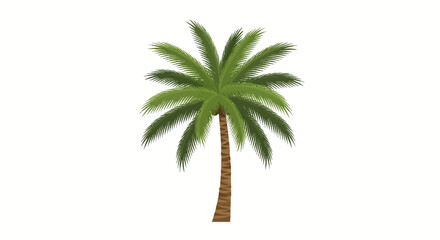 Obraz premium Vector illustration of a single tropical palm tree with lush green pinnate fronds and a textured brown trunk, isolated on a plain white background for graphic design use.
