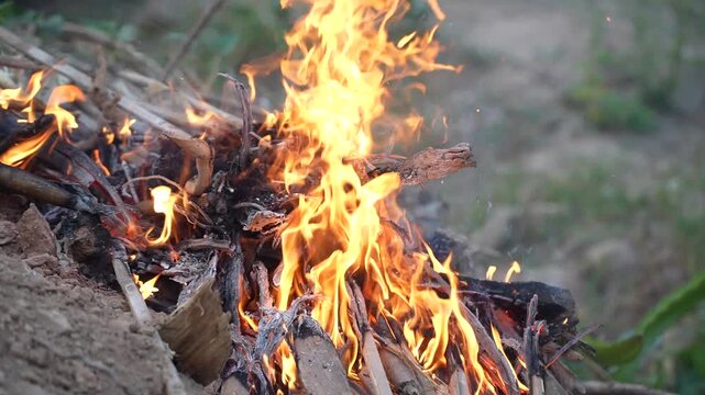A fire burning wood outdoors, producing heat and bright flames in a natural setting