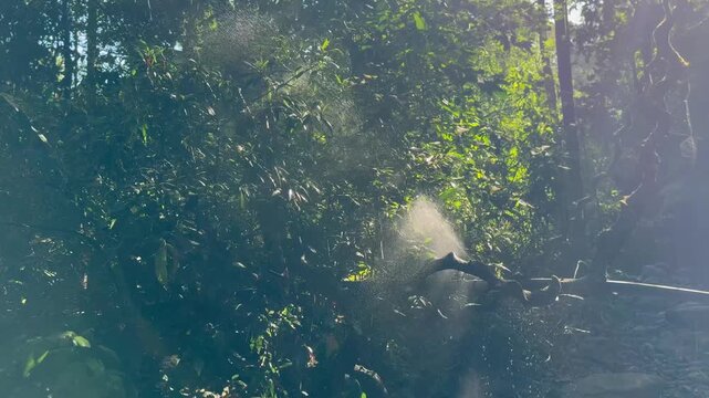 A burst pipeline roars like a waterfall in the Western Ghats, sending crystal water through lush green hills in stunning 4K, blending power and nature&rsquo;s wild beauty.