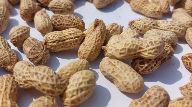 footage of  Peanuts (Arachis hypogaea) are legume plants that are rich in nutrients and have many health benefits. roasted peanuts with a rich golden brown color, showcasing  natural appearance. 