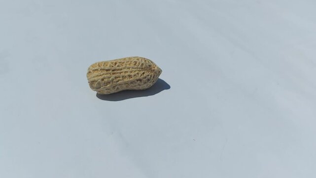 footage of  Peanuts (Arachis hypogaea) are legume plants that are rich in nutrients and have many health benefits. roasted peanuts with a rich golden brown color, showcasing  natural appearance. 