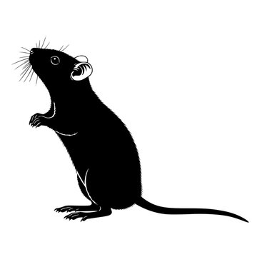A black silhouette of a mouse standing on its hind legs Vector, illustration