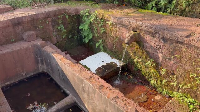 Beautiful 4K view of the sacred Gaumukh at Karhateshwar Temple, Ratnagiri Konkan, where crystal-clear water flows through ancient stone carvings amid serene coastal greenery and divine peace.