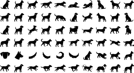 Fototapeta premium Diverse animal silhouettes standing walking sitting bird 
