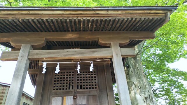 初夏の神社の境内に佇むお宮のクローズアップ