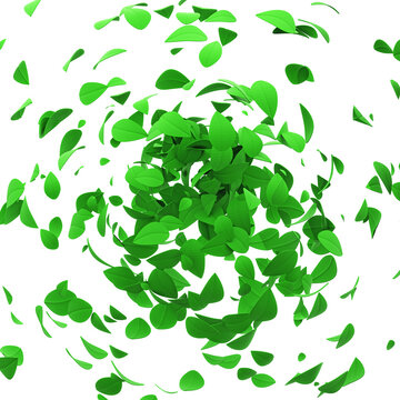 Green leaves falling and spinning