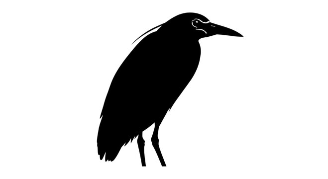Minimalist black heron bird silhouette vector illustration on white