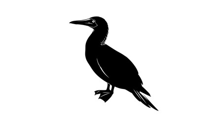 Fototapeta premium Black silhouette vector illustration of a standing booby seabird