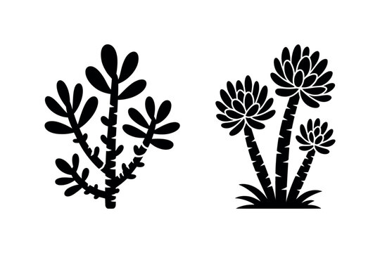 Succulent plant silhouettes set botanical vector icons of different succulent varieties for gardening decoration and natural plant design concepts