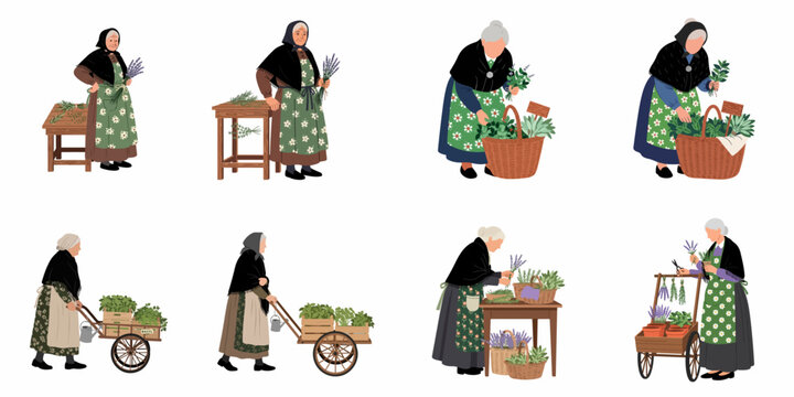 Set of illustrations featuring an elderly woman in traditional folk dress harvesting and working with fresh herbs and lavender in a rural setting.