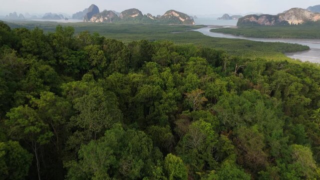 Stunning aerial perspective revealing the beautiful phang nga bay in thailand, showcasing the immense mangrove forest, a winding river, and the iconic limestone karst islands in the distance