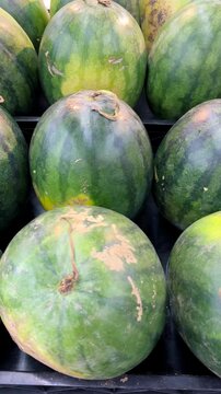 A large, succulent melon. A premium-quality watermelon with a refreshing red interior.