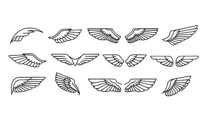 Minimal falcon wing outline icons with elegant feather shapes in modern line vector style © Sabbir