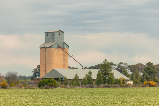Rural grain silo structure with agricultural field and trees under a cloudy sky