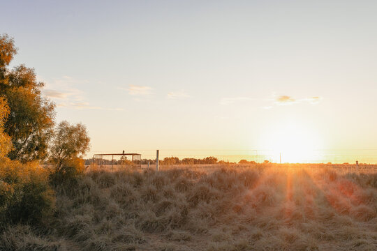 Golden hour sunset over a dry grassy field with trees and a distant structure