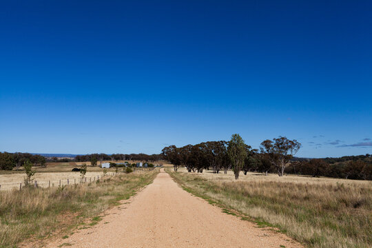 Blue summer sky over gravel farm road through farmland paddocks