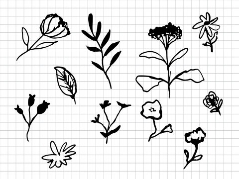 Hand Drawn Floral Doodles Set with Ink Branch Leaves and Flowers on Grid Background