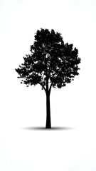 Fototapeta premium A solitary tree silhouette against a white background