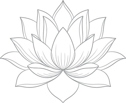 Lotus Flower Line Art Outline Drawing.