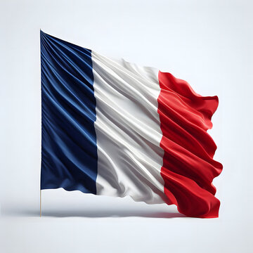 France flag on the white background