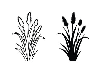 Fototapeta premium Minimalist pampas grass vector icons, black silhouette and line art reed plant illustrations, botanical cattail and meadow grass elements for logo design