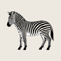 Obraz premium Zebra standing on white background striped animal illustration vector animal mammal