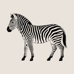 Obraz premium Zebra standing on beige background striped animal side view illustration vector